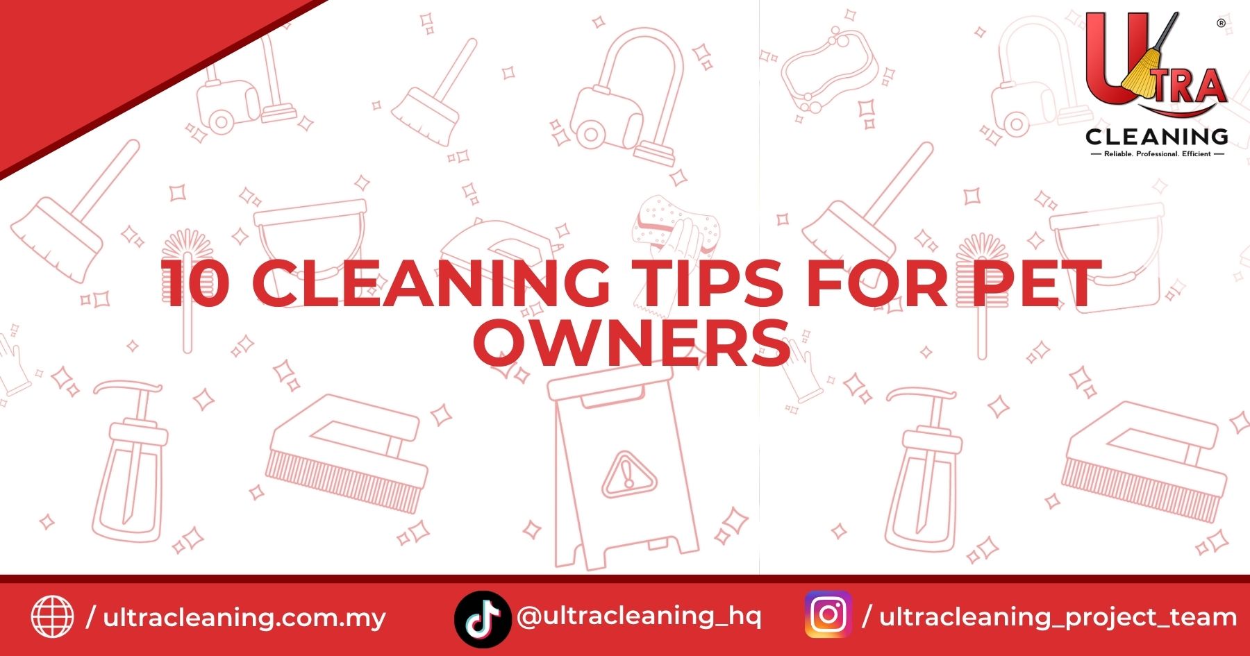 10 Cleaning Tips for Pet Owners