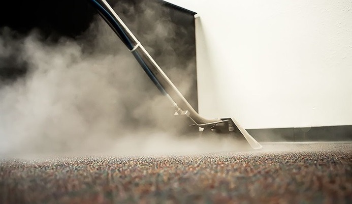 Hot water extraction carpet cleaning in progress