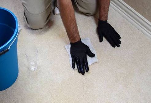 Professional spot and stain removal on carpet